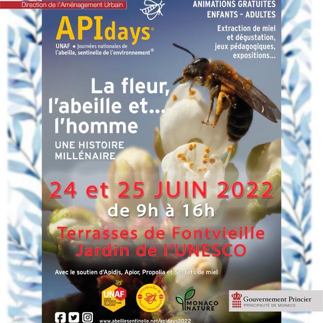 Attività - "APIdays 2022"