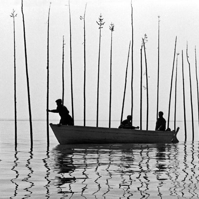 Pour La Suite Du Monde