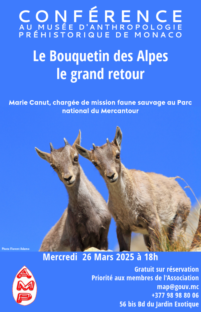 📢 Conference: The Alpine Ibex, the big comeback ! 🏔️🦌