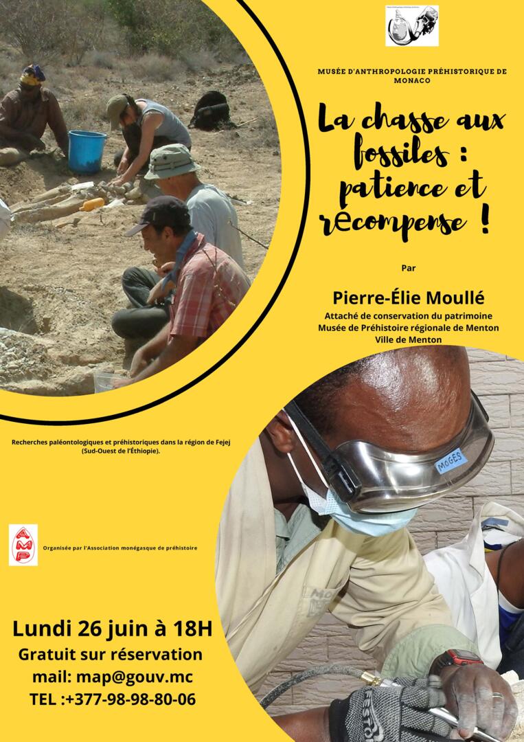 Lecture - "Fossil-hunting: patience and reward"