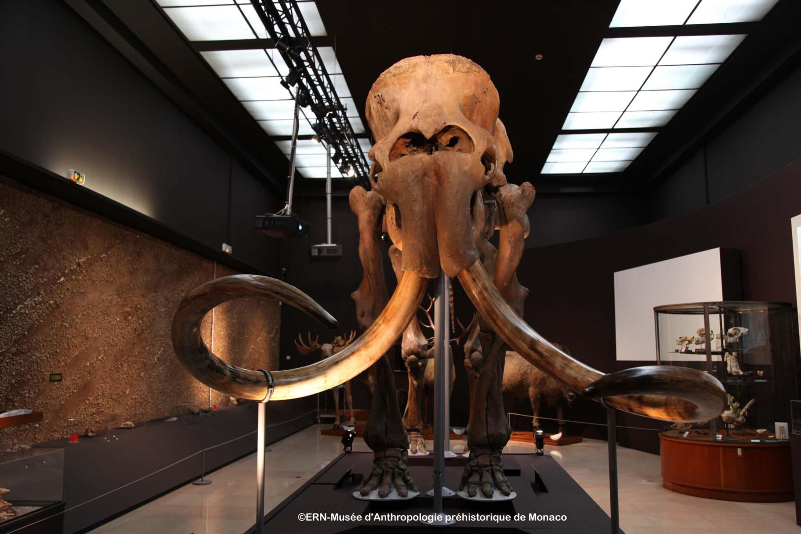 Museum of Prehistoric Anthropology