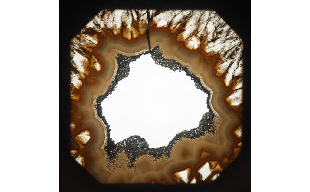 Exhibition - "Francisco Tropa - Paesine"