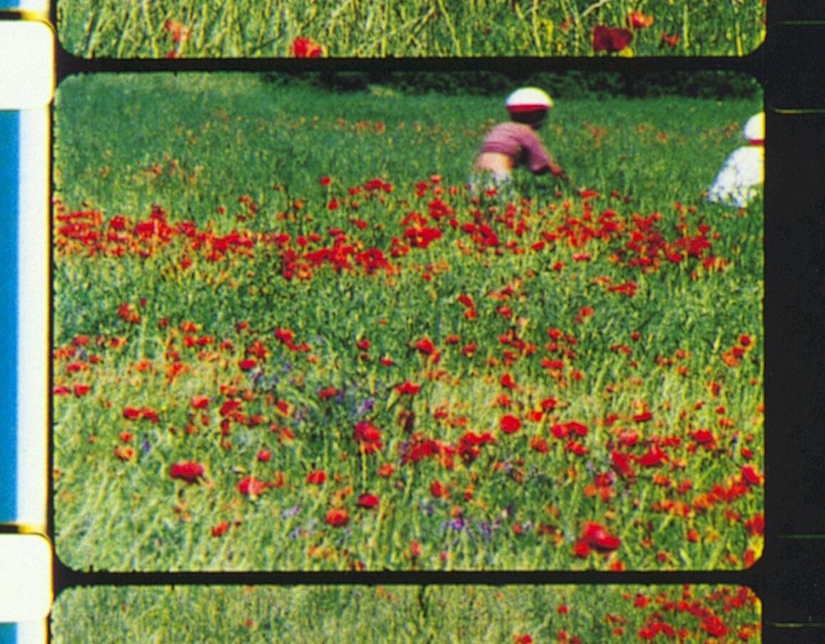 Screening - "Rose Lowder and Her Agricultural Camera"