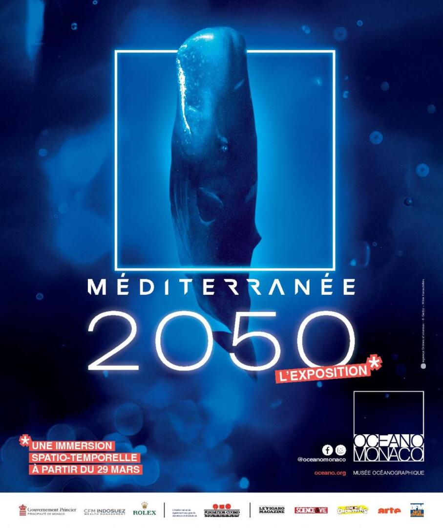 Exhibition - "Mediterranean 2050"