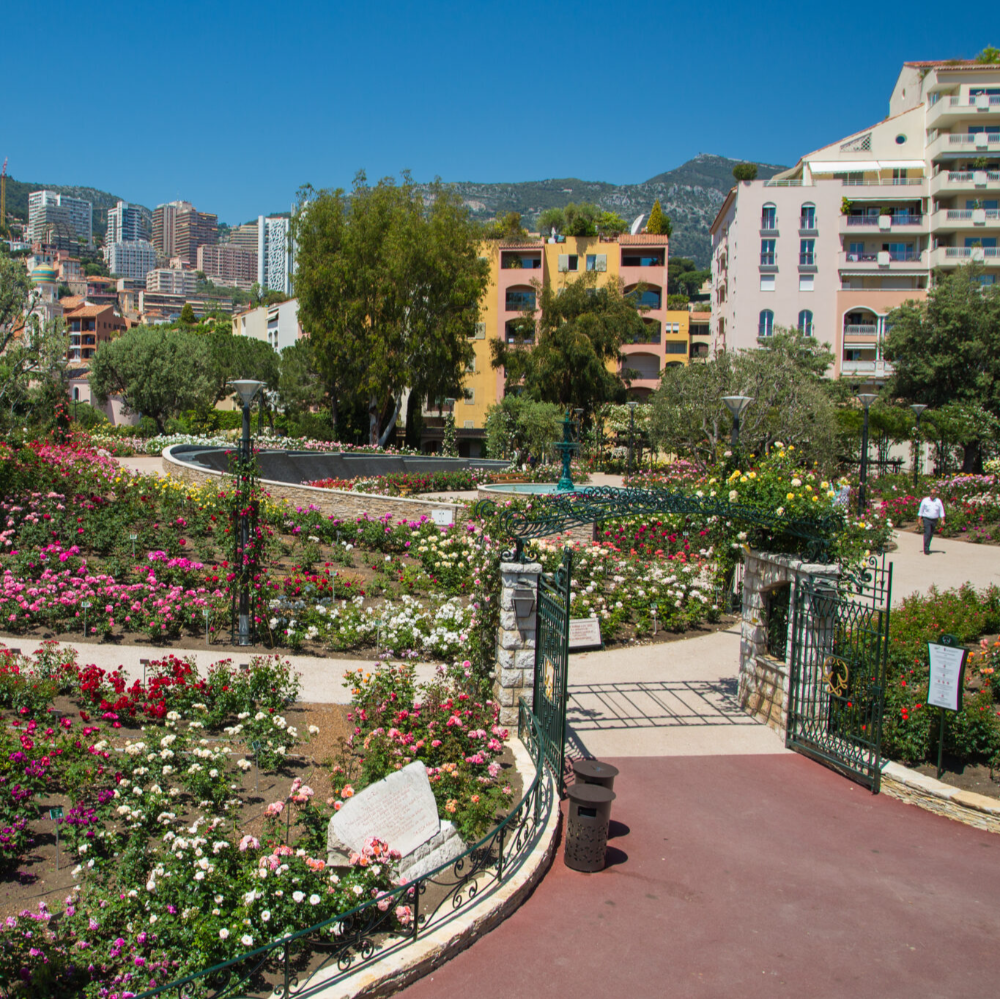 Exposition “Le Prince Rainier III, une roseraie en hommage à son épouse”