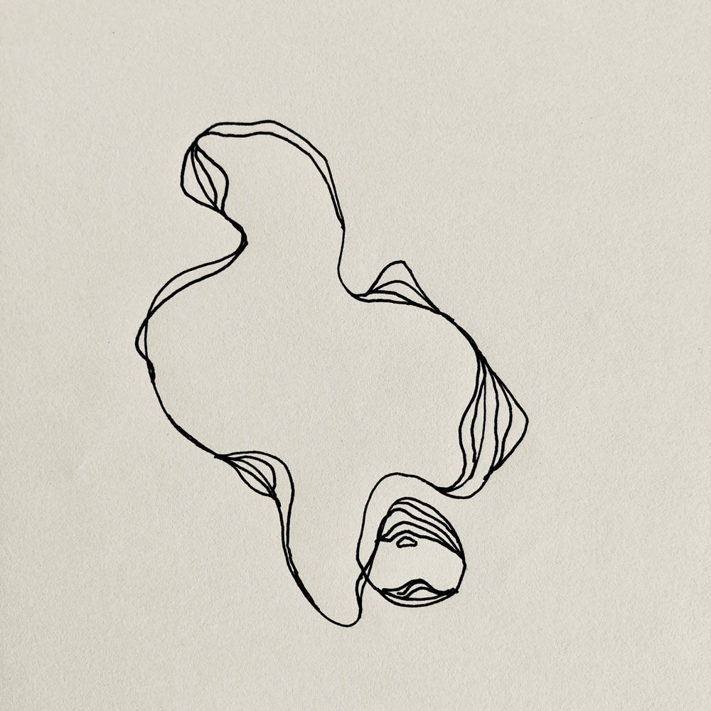 Suivre le perroquet blanc. Récits et autres tours