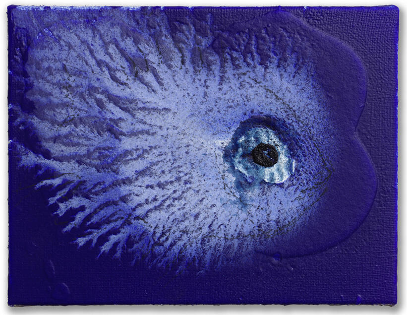 Exhibition - "Miquel Barceló, Oceanographer"