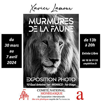 Exhibition - "Whispers of the wildlife"