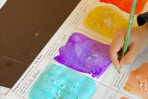 Stages jeune public "Tableaux salés" - vacances de février