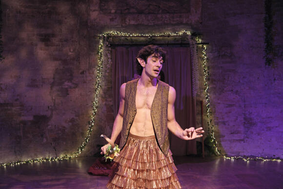 A MIDSUMMER NIGHT'S DREAM 11/12