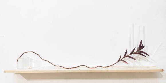 Cocktail de finissage - "Concrete beaches, artificial landscapes" 2/2