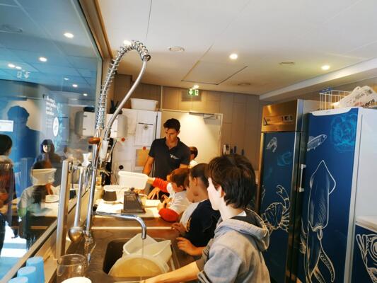 CLUB OCEANO - Stage de découverte sur l'Océan 5/5