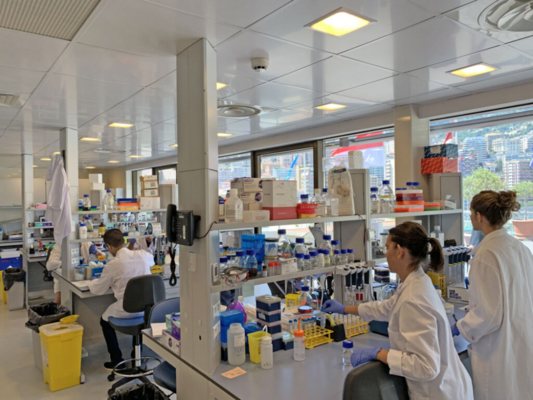 European Heritage Days: Centre Scientifique de Monaco