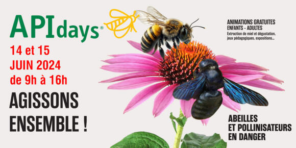 Animation - "APIdays" 2/2