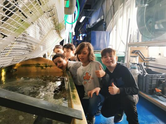 CLUB OCEANO - Stage de découverte sur l'Océan 2/5