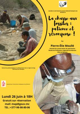 Lecture - "Fossil-hunting: patience and reward"