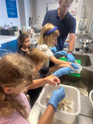 Club Oceano - Discovery course on the Ocean 5/5