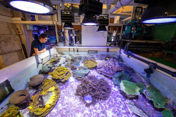 Club Oceano - Discovery course on the Ocean 4/5