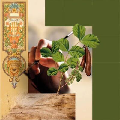 Culture - "28th European Heritage Days"