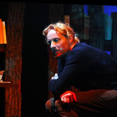 Dans Les Forêts De Sibérie