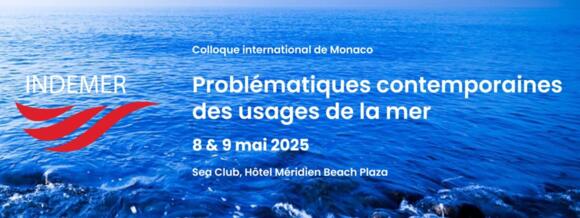 INDEMER Symposium 2/2