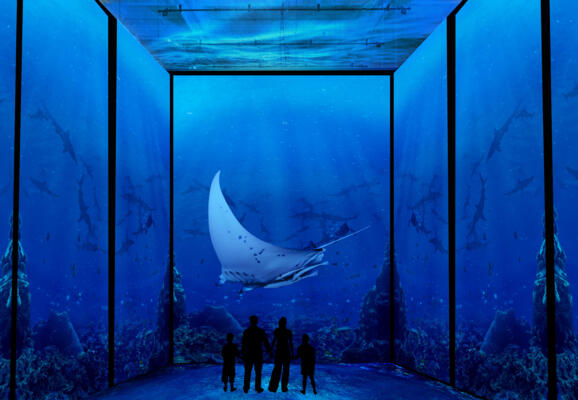 "Immersion", the interactive exhibition 2/2