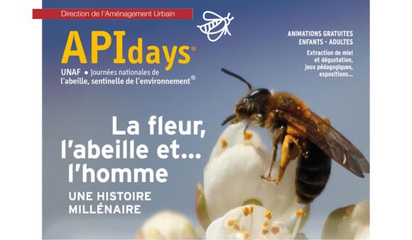 Attività - "APIdays 2022" 2/2