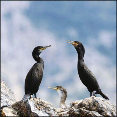 Photography Exhibition