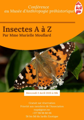 “Insects from A to Z” by Murielle Mouflard - Conference and visit