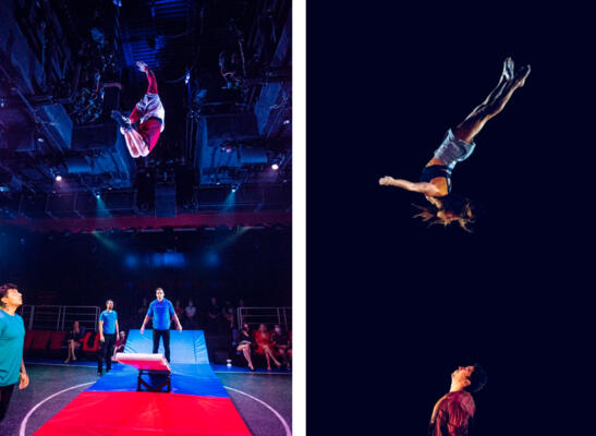 Duel Realty - All's fair in love and war 3/3