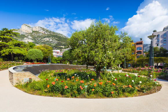 Event - "Rose Planting with the Gardeners" 2/2