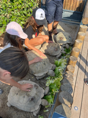 Club Oceano - Discovery course on the Ocean