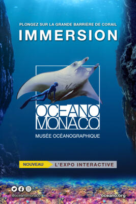"Immersion", the interactive exhibition
