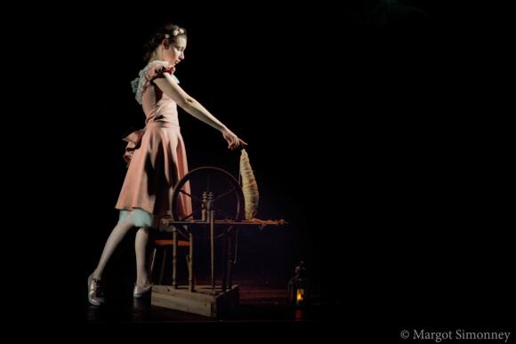 Rose au bois dormant 5/5