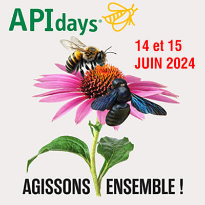 Animation - "APIdays"