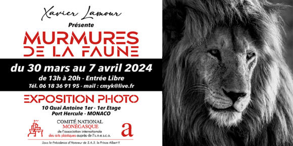 Exhibition - "Whispers of the wildlife" 2/2