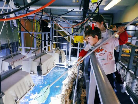 CLUB OCEANO - Stage de découverte sur l'Océan 4/5