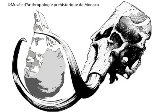 Ateliers pédagogiques au Musée d'Anthropologie Préhistorique de Monaco 1/1