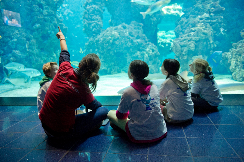 CLUB OCEANO - Stage de découverte sur l'Océan 1/5