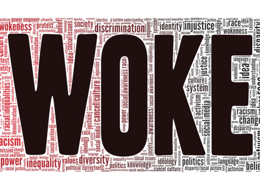 Le wokisme : un progrès ? 1/1