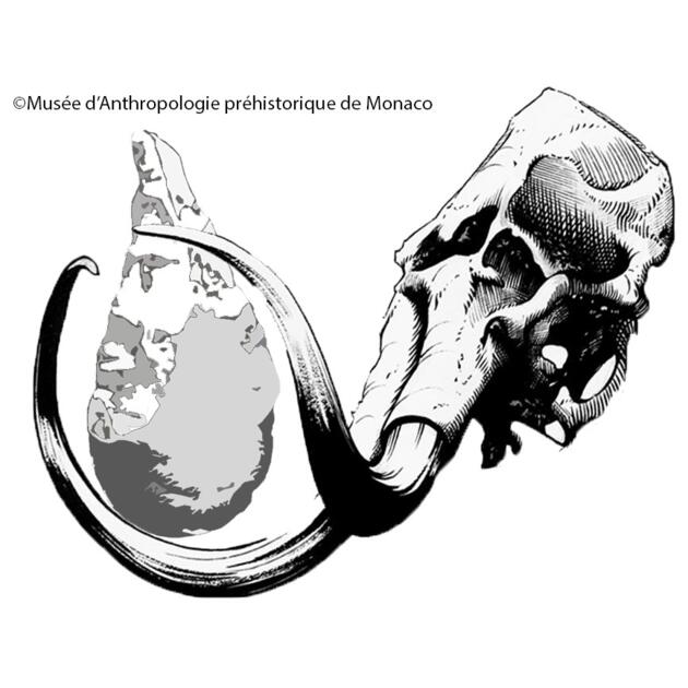 Conférence - "Raphaël Angevin" 1/1