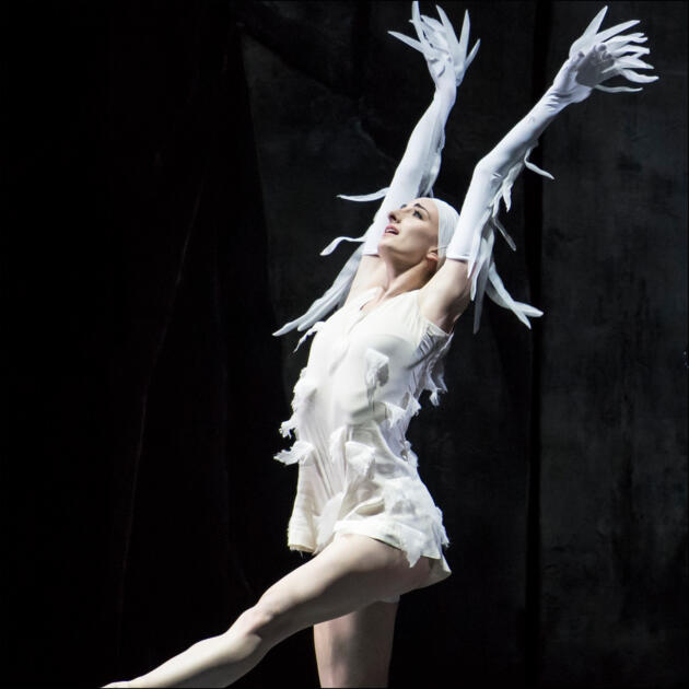 Les Ballets de Monte-Carlo 1/1
