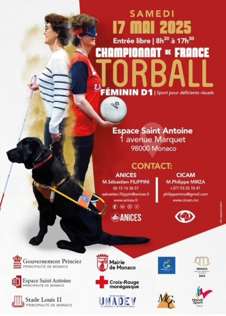 Championnat de France TORBALL Féminin D1 1/1