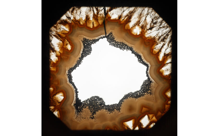 Exhibition - "Francisco Tropa - Paesine" 1/2