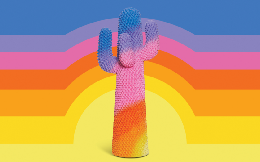 « CACTUS » Exhibition 1/1