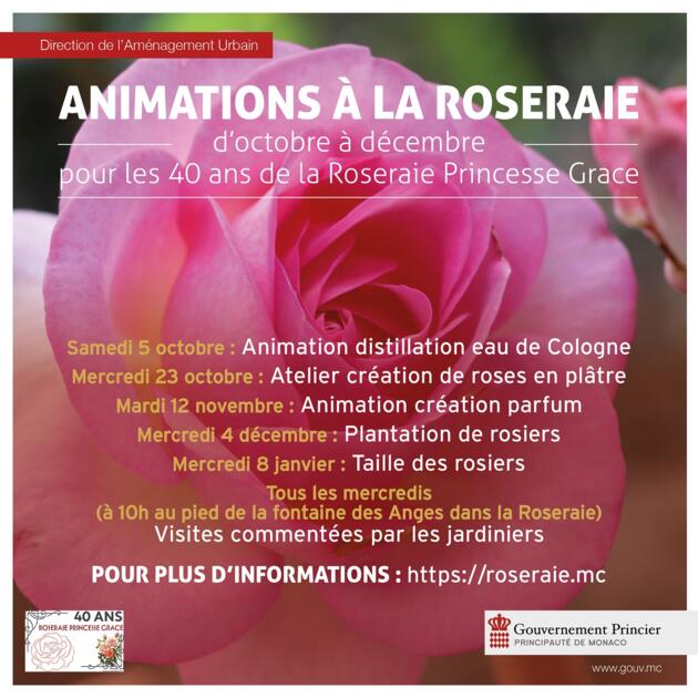 Event - "Create Plaster Roses with the Gardeners" 1/2