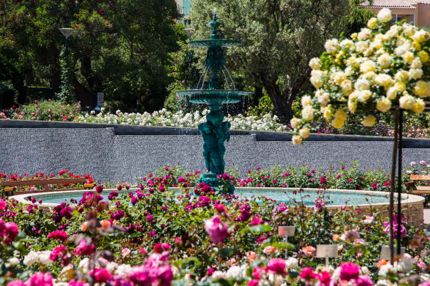 Rendez-vous aux Jardins 2024 - Découverte des 5 sens à la Roseraie Princesse Grace 1/1