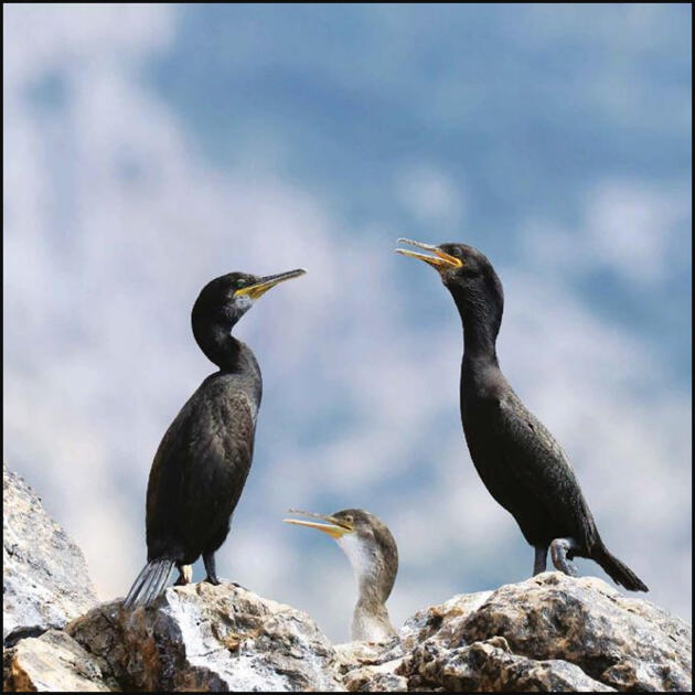 Photography Exhibition 1/1