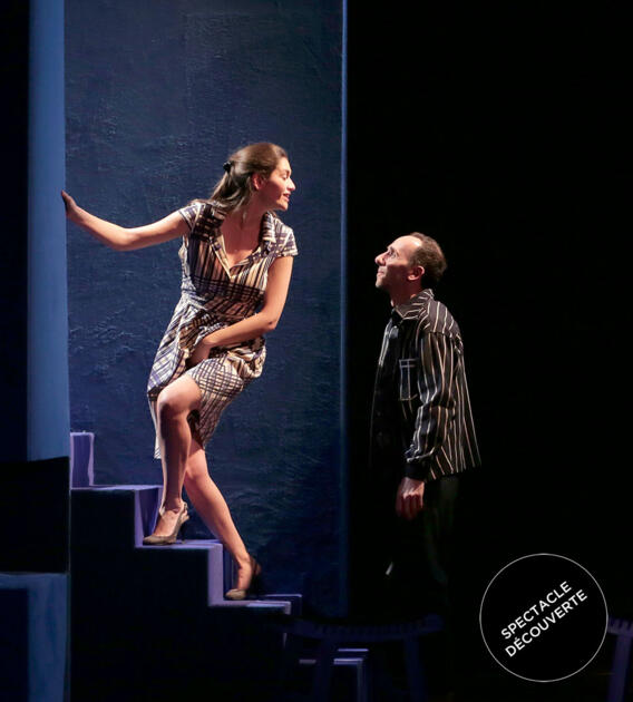 Théâtre - "La Délicatesse" 1/2