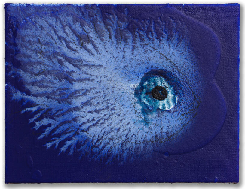 Exhibition - "Miquel Barceló, Oceanographer" 1/2